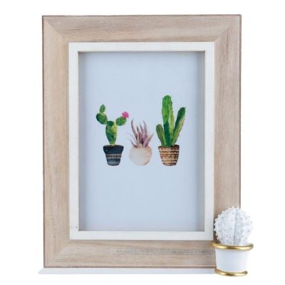 Porta Retrato - Cactus Spines