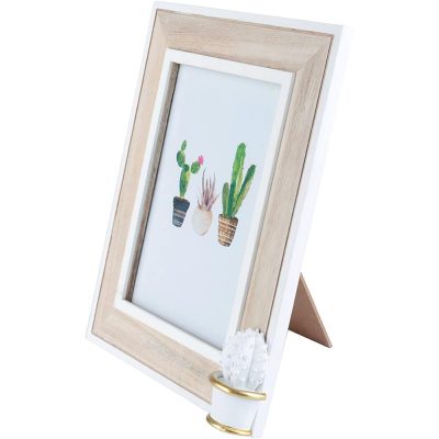 Porta Retrato - Cactus Spines