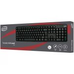 Teclado Básico Newlink Level Tc308
