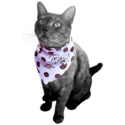 Bandana Pet - Gatinho