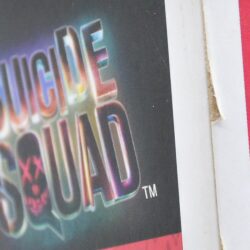 Funko Pop Heroes - Suicide Squad Boomerang 101