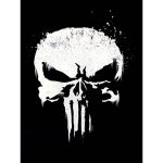 Quadro (26X20) - Justiceiro Logo