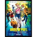 Quadro (44,5X32,5) – Birds Of Prey Quadro (44,5X32,5) - Birds Of Prey