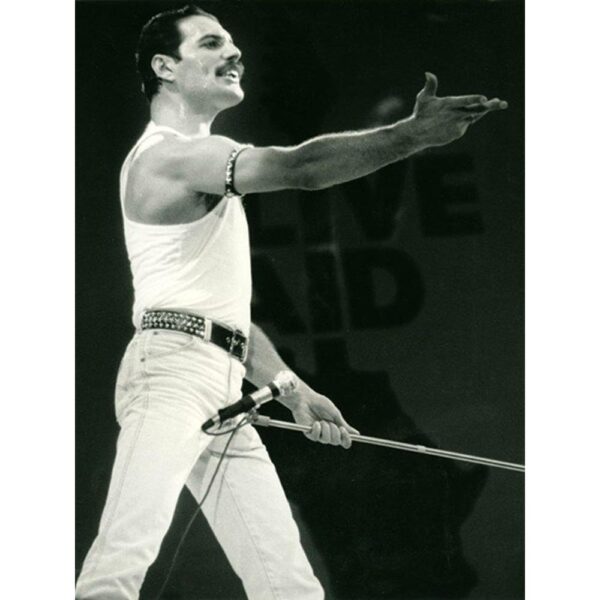 Funko Pop Rocks - Queen Freddie Mercury 183 (Radio Gaga)