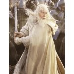Funko Pop Movies - The Lord Of The Rings Gandalf The White 845 (Special Edition) (Vaulted)