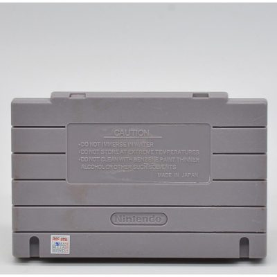 Fever Pitch Soccer - Snes (Paralelo) #02