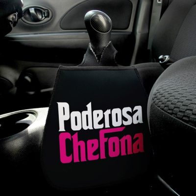 Lixeira De Carro - Poderosa Chefona