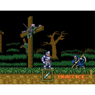Placa Decorativa (20X26) - Games Classicos Ghosts N Goblins