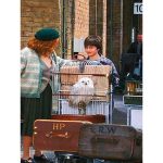 Funko Pop Deluxe – Harry Potter Harry Pushing Trolley 135 Funko Pop Deluxe - Harry Potter Harry Pushing Trolley 135