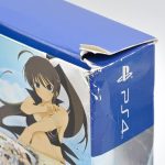 Senran Kagura Estival Versus: Endless Summer Edition – Ps4 Senran Kagura Estival Versus: Endless Summer Edition - Ps4