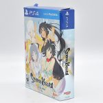 Senran Kagura Estival Versus: Endless Summer Edition – Ps4 Senran Kagura Estival Versus: Endless Summer Edition - Ps4