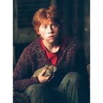 Funko Pop - Harry Potter Ron Weasley 44 (Com Rato Rabicho Scabbers)