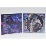 Fate Extella Link Fleeting Glory Edition - Ps4