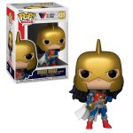 Funko Pop Wonder Woman 431 (Flashpoint) (Heroes Dc Comics) (80Th Anniversary)
