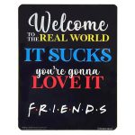 Placa Decorativa Friends (It Sucks) (26X20)