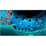 Rayman Origins Xbox One/360 (Mídia Física)
