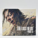 The Last Of Us Parte 2 Edição Especial - Ps4 (Seminovo)