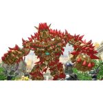 Knack 2 Ps4 Knack 2 Ps4