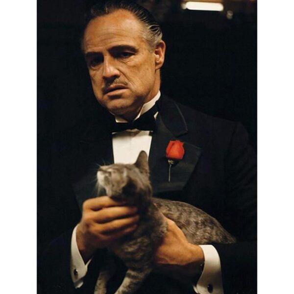 Funko Pop Vito Corleone 389 (The Godfather) (Vaulted)