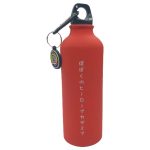 Garrafa Mosquetão 500Ml - My Hero Academia