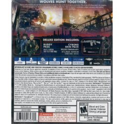 Wolfenstein Youngblood Deluxe Edition Ps4