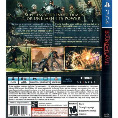 Bound By Flame Ps4 #2