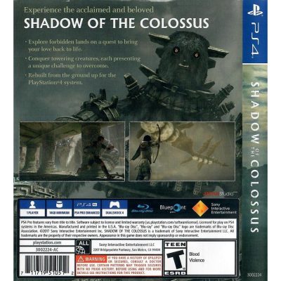 Shadow Of The Colossus Ps4 (Sem Manual)