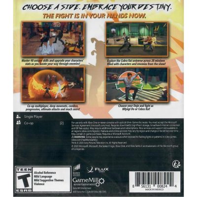 Cobra Kai The Karate Kid Saga Continues Xbox One