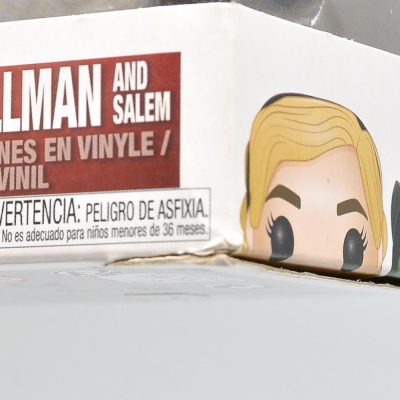Funko Pop Sabrina Spellman And Salem 777
