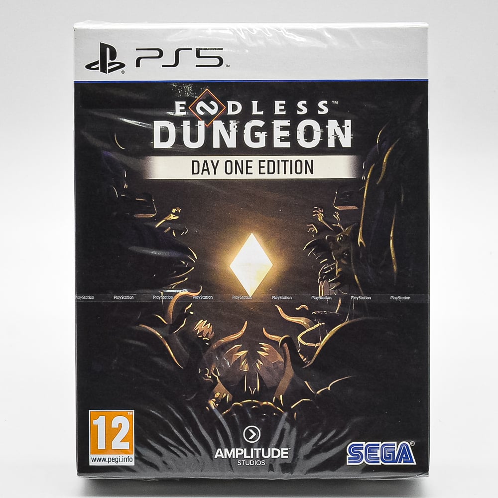 Endless Dungeon Day One Edition - Ps5