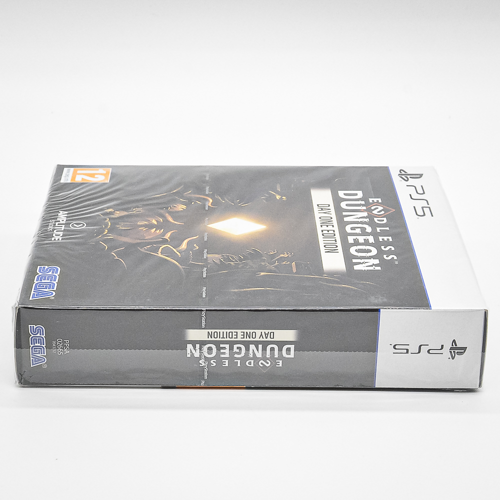 Endless Dungeon Day One Edition - Ps5