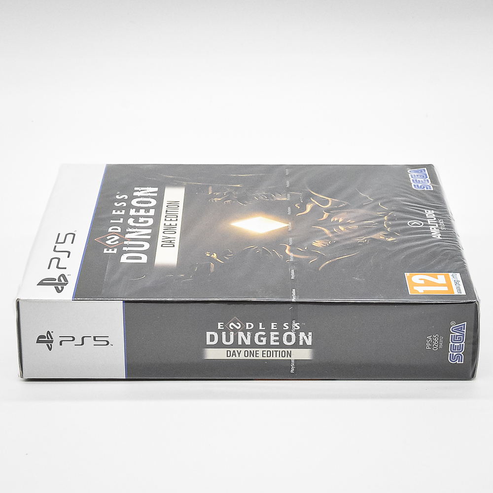 Endless Dungeon Day One Edition - Ps5