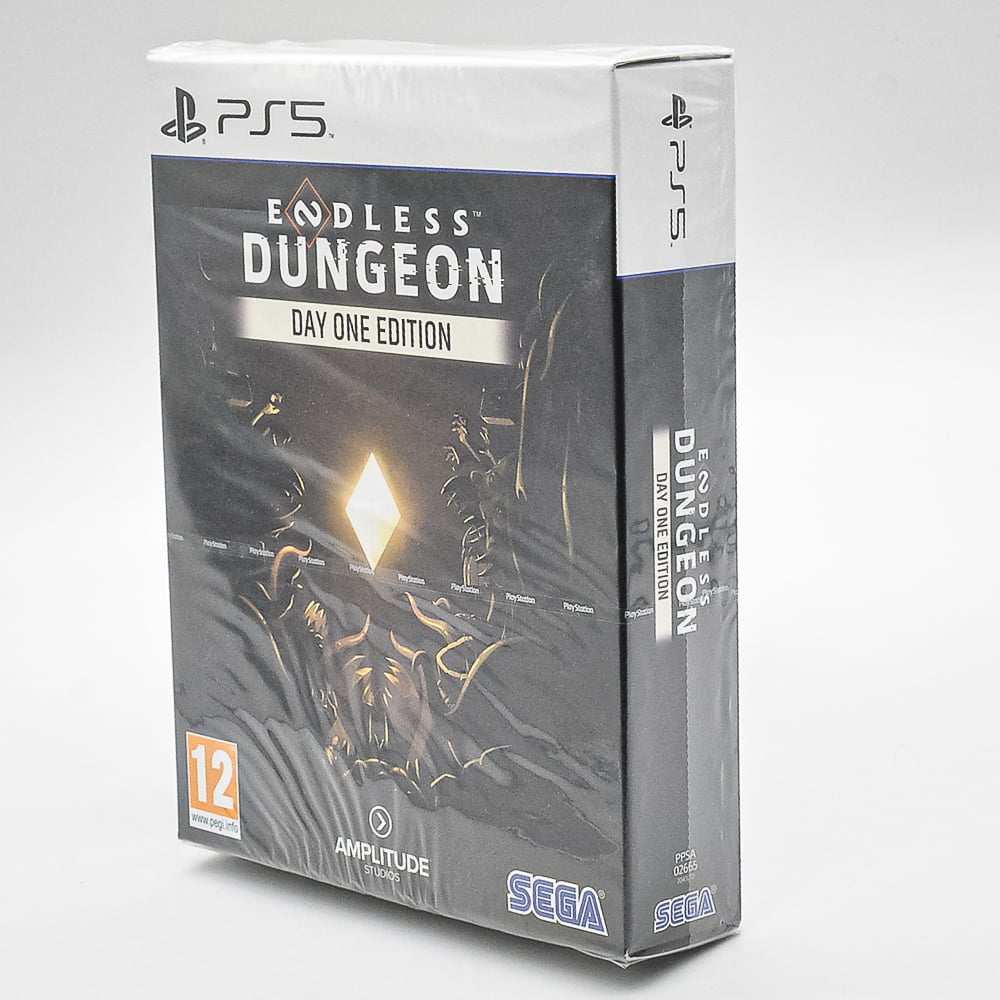 Endless Dungeon Day One Edition - Ps5