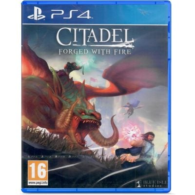 Citadel Forged With Fire - Ps4