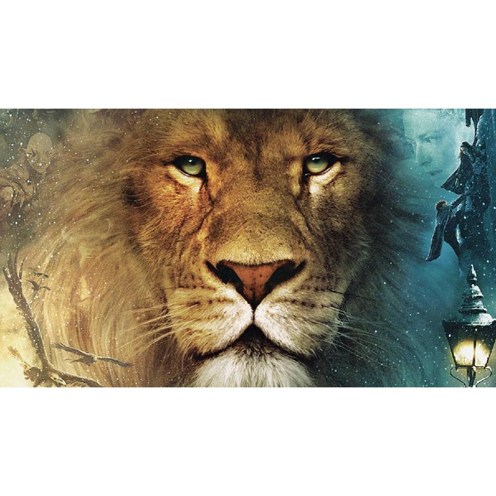 Blu-Ray As Cronicas De Narnia A Viagem Do Peregrino Da Alvorada (Seminovo)