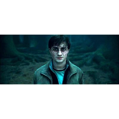 Blu Ray Harry Potter And The Deathly Hallows Part 2 3D (Novo)