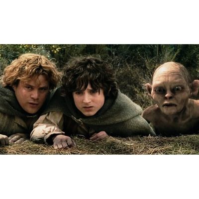 Blu-Ray O Senhor Dos Anéis A Sociedade Do Anel (Seminovo)