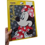 Placa Decorativa Minnie (26X20) (Novo)