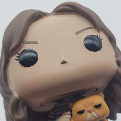 Funko Pop Hermione Granger With Crookshanks #167 (Sem Caixa)