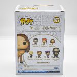 Funko Pop Harry Potter - Hermione Granger 167 (Hermione Granger With Crookshanks)