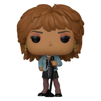 Funko Pop Tina Turner 492