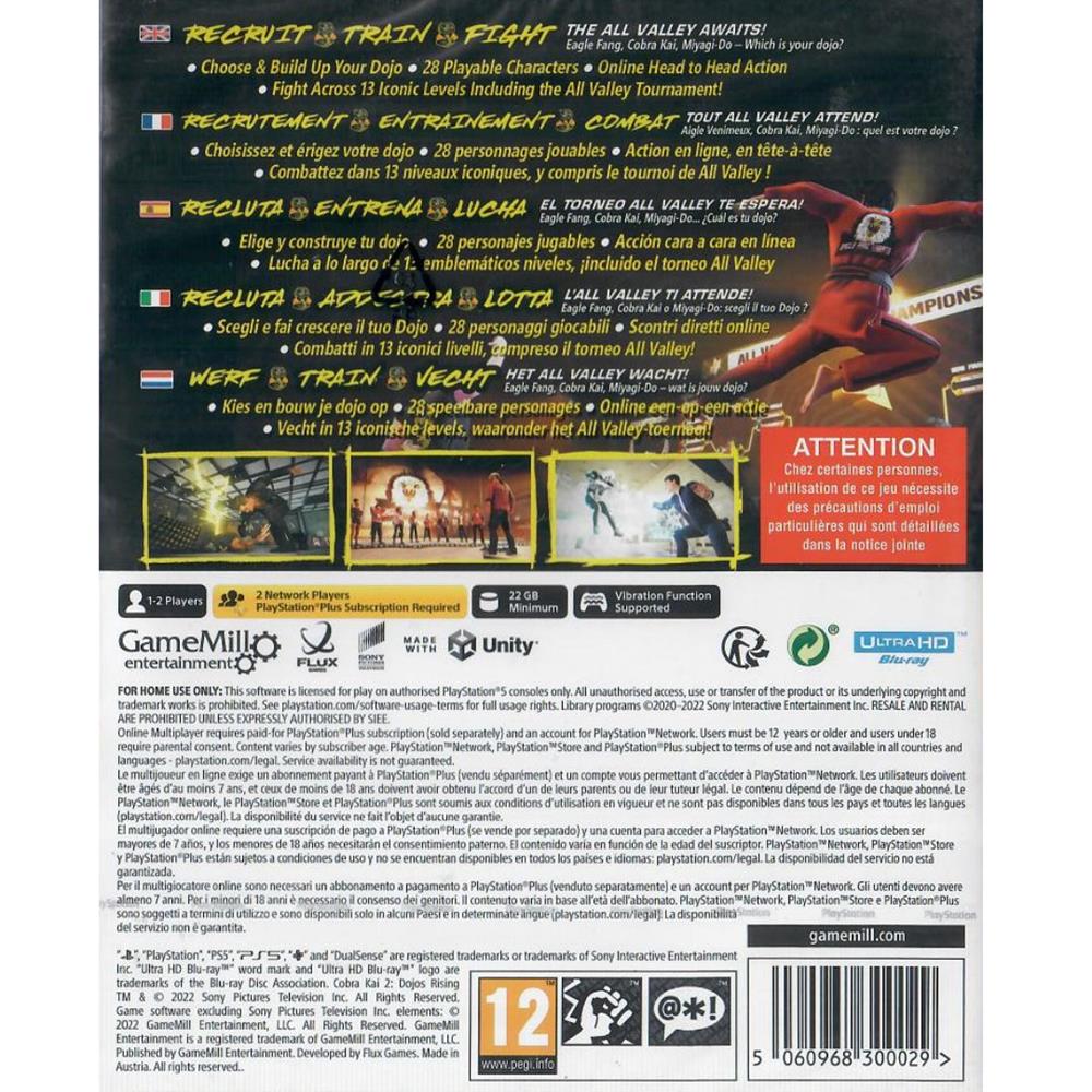 Cobra Kai 2 Dojos Rising - Ps5 (Novo) (Europeu)